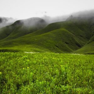 Experience Nagaland in 4 Nights/5 Days